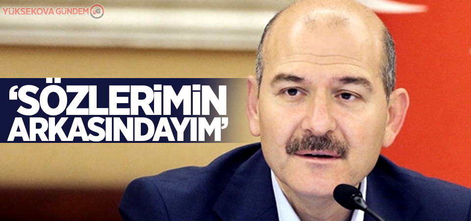 Soylu'dan 'ahmak' açıklaması: Sözlerimin arkasındayım