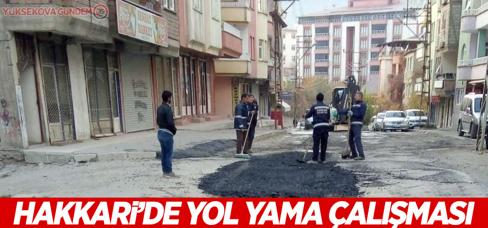 Hakkari’de yol yama çalışması