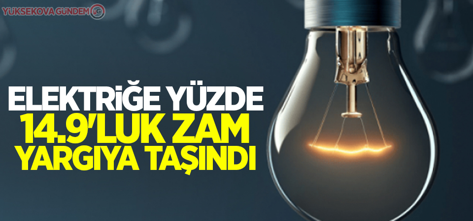 Elektriğe yüzde 14.9'luk zam yargıya taşındı