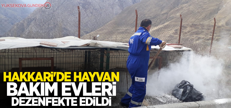 Hakkari'de hayvan bakım evleri dezenfekte edildi