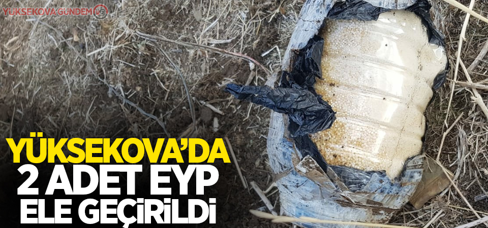 Yüksekova’da 2 adet EYP ele geçirildi