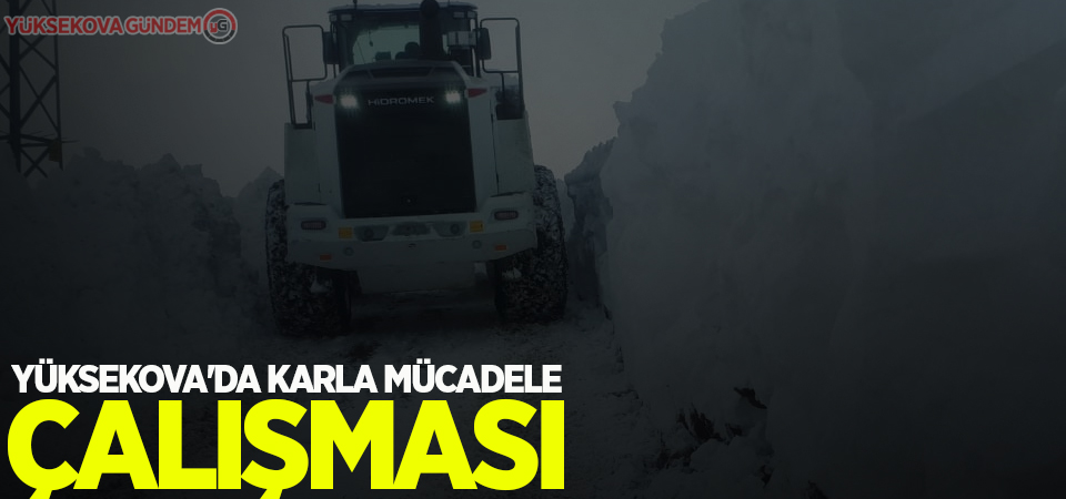 Yüksekova'da karla mücadele çalışması