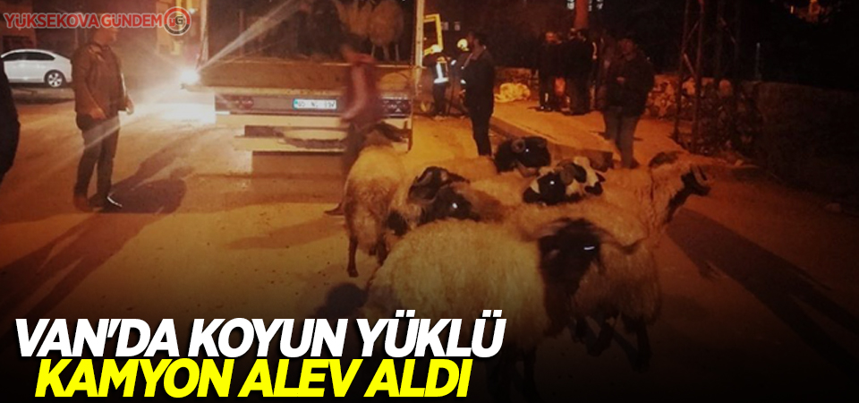 Van'da koyun yüklü kamyon alev aldı