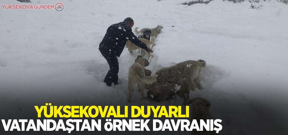 Yüksekovalı duyarlı vatandaştan örnek davranış