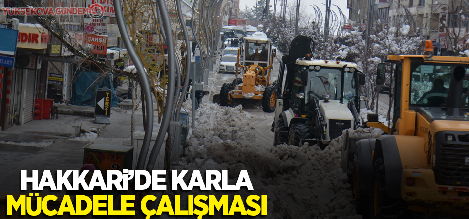 Hakkari’de karla mücadele çalışması