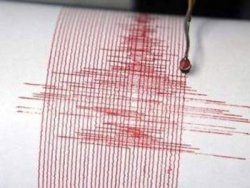 Gürcistan'daki deprem Artvin'i de salladı