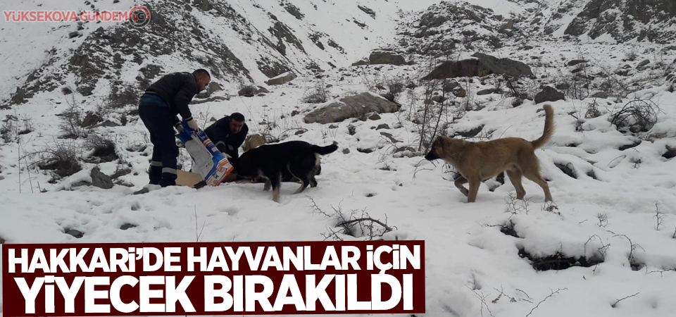 Hakkari'de hayvanlar için yiyecek bırakıldı