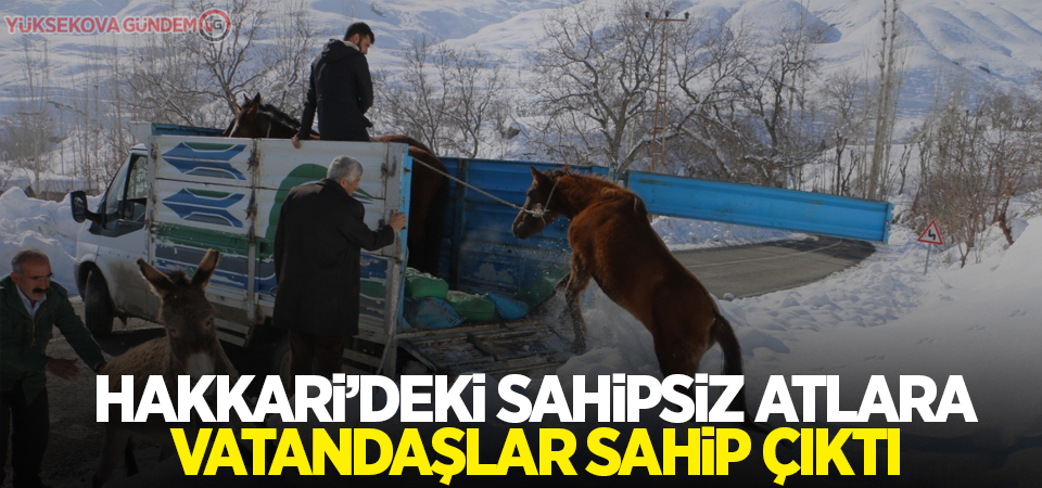 Hakkari’deki sahipsiz atlara vatandaşlar sahip çıktı