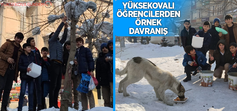 Yüksekovalı öğrencilerden örnek davranış