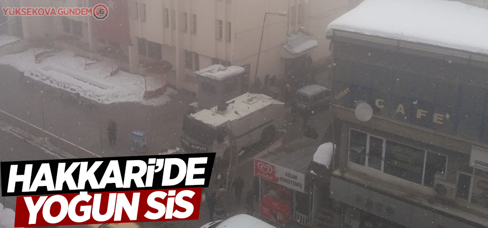 Hakkari'de yoğun sis