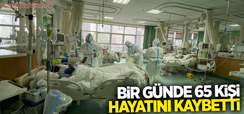 Bir günde 65 kişi virüsten öldü