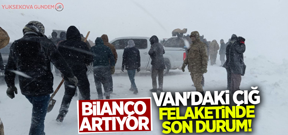 Van'daki çığ felaketinde son durum!