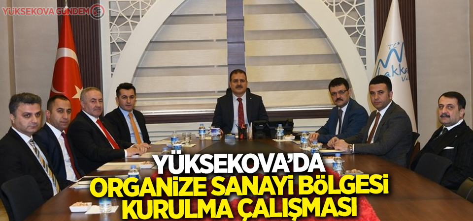 Yüksekova’da organize sanayi bölgesi kurulma çalışması