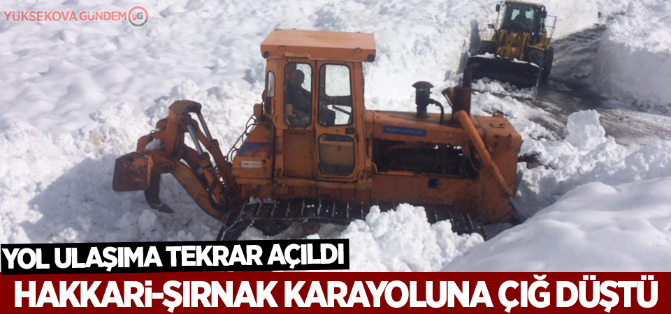 Hakkari-Şırnak kara yoluna çığ düştü