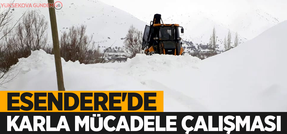 Esendere'de karla mücadele çalışması