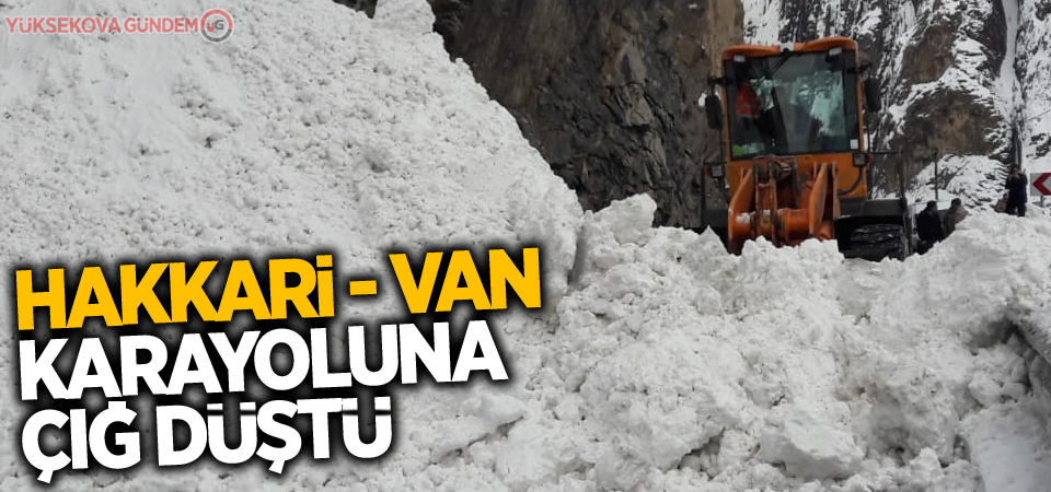 Hakkari-Van kara yoluna çığ düştü