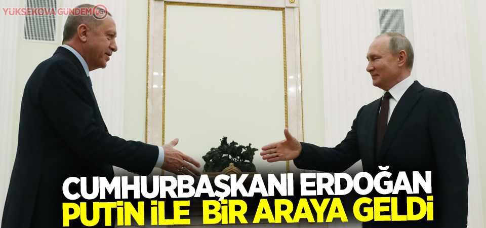 Cumhurbaşkanı Erdoğan, Rus mevkidaşı Putin ile görüştü