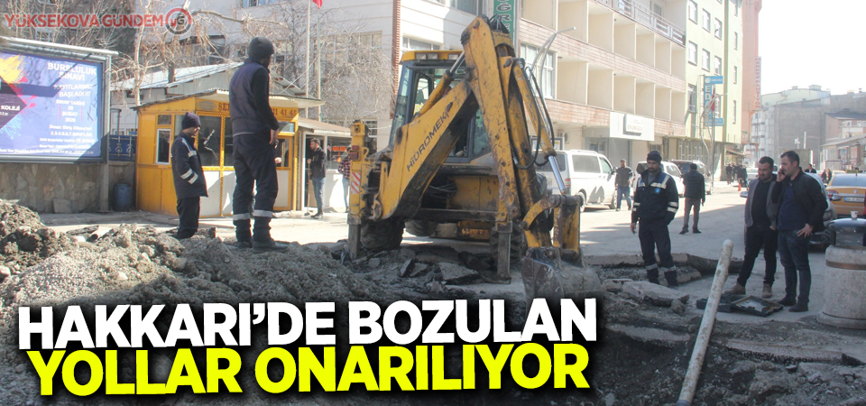 Hakkari’de bozulan yollar onarılıyor