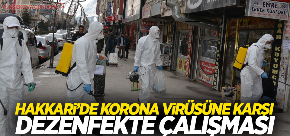 Hakkari’de korona virüsüne karşı dezenfekte çalışması