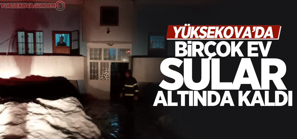 Yüksekova’da birçok ev sular altında kaldı