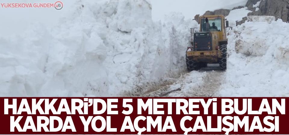 Hakkari’de 5 metreyi bulan karda yol açma çalışması