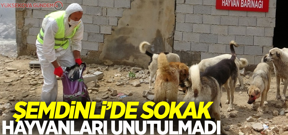 Şemdinli’de sokak hayvanları unutulmadı