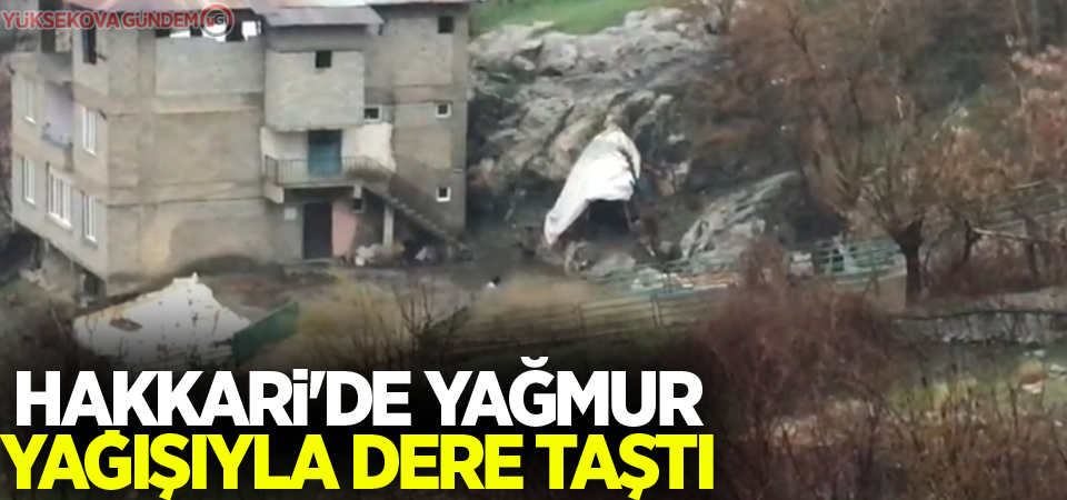 Hakkari'de yağmur yağışıyla dere taştı