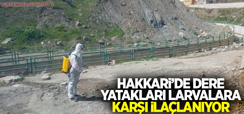 Hakkari’de dere yatakları larvalara karşı ilaçlanıyor