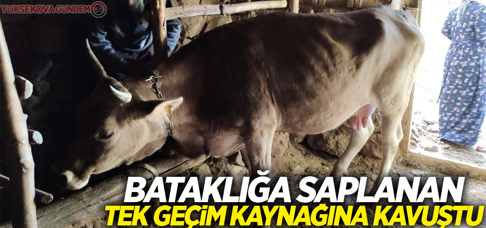 Bataklığa saplanan tek geçim kaynağına kavuştu