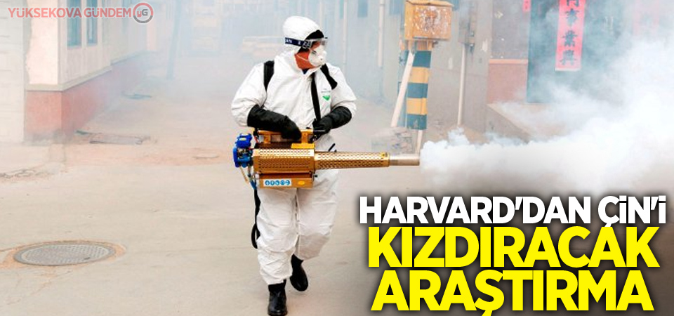 Harvard'dan Çin'i kızdıracak araştırma