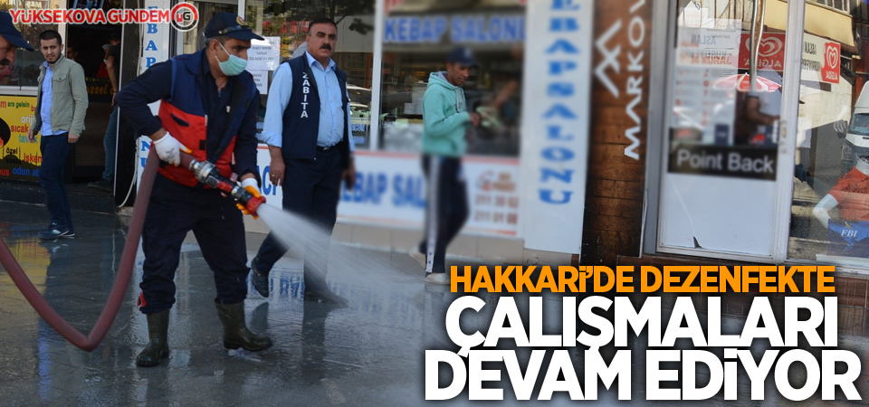 Hakkari’de dezenfekte çalışmaları sürüyor