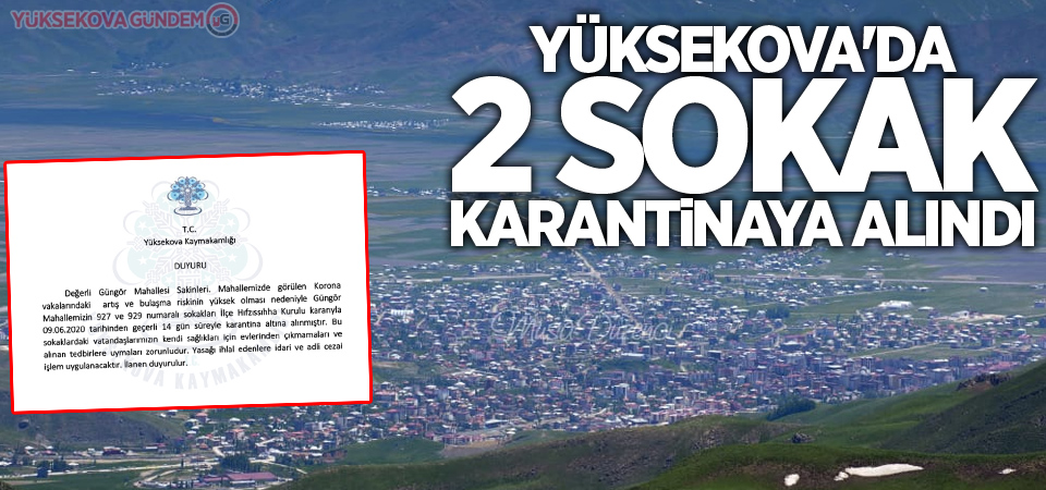 Yüksekova'da 2 sokak karantinaya alındı