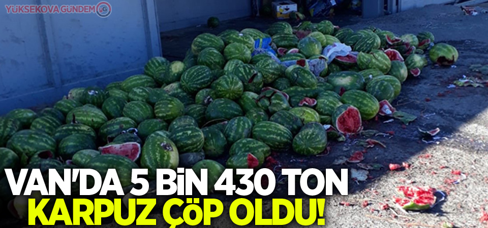 Van'da 5 bin 430 ton karpuz çöp oldu!