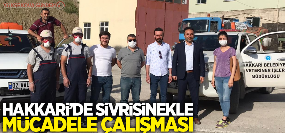 Hakkari’de sivrisinekle mücadele çalışması