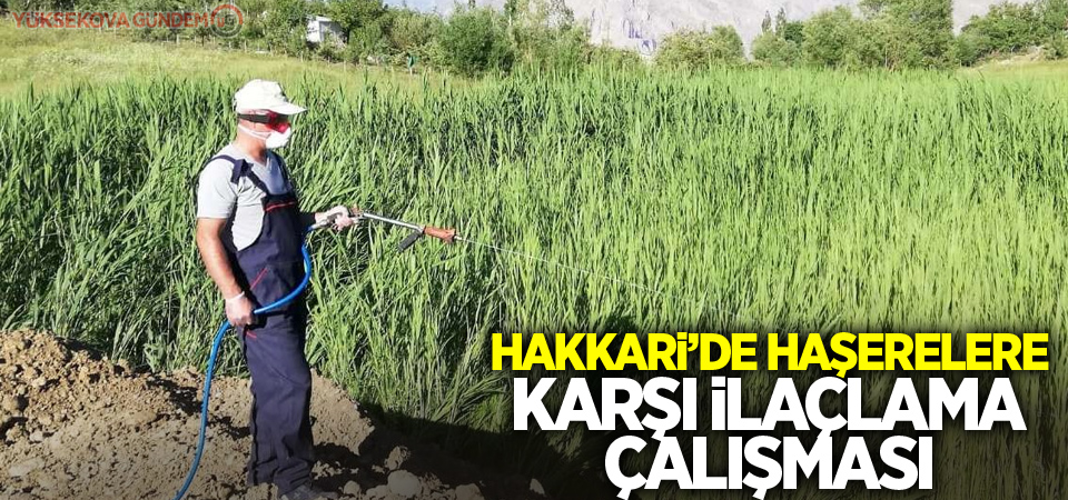 Hakkari’de haşerelere karşı ilaçlama çalışması