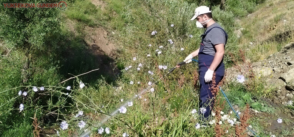 Hakkari Belediyesinden larvasit ilaçlama çalışması