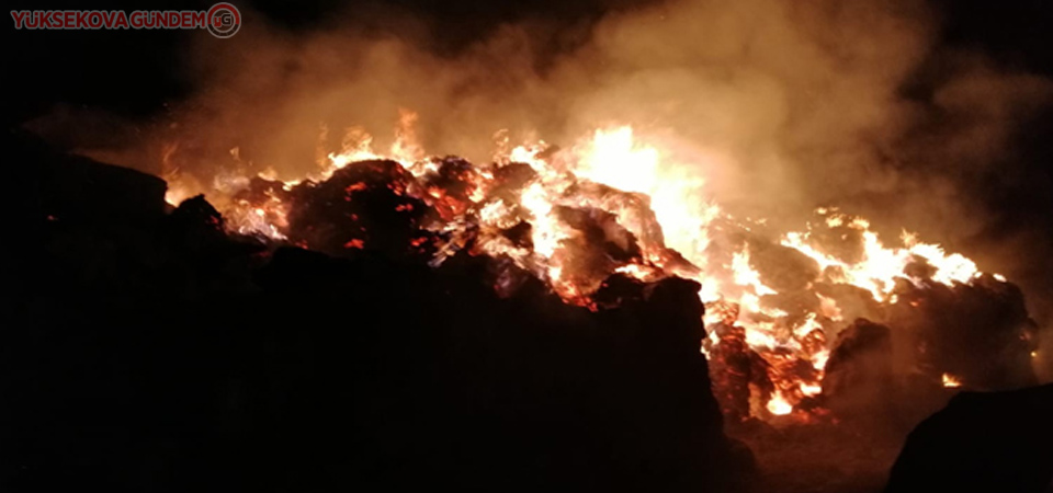 Van'da korkutan anlar! Gece vakti mezrayı alev sardı!