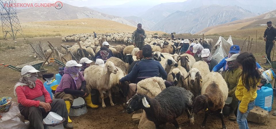 Hakkarili yaylacılar elektrik istiyor