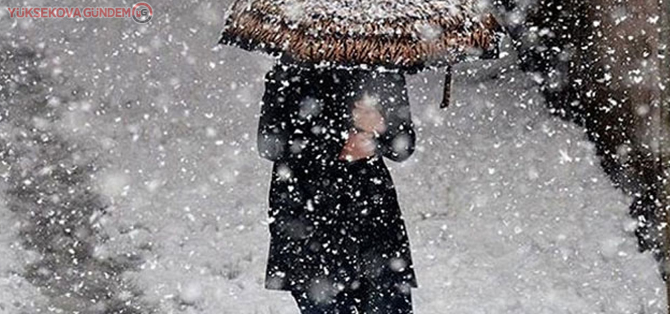 Meteorolojiden Van için kar yağışı duyurusu