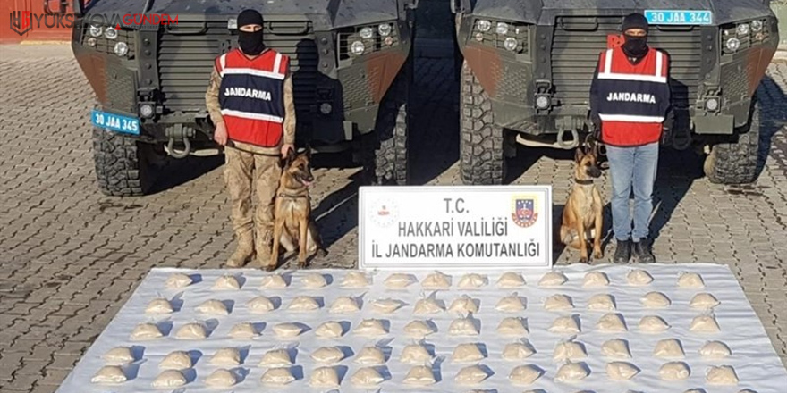 Hakkari’de 48 kilo eroin ele geçirildi