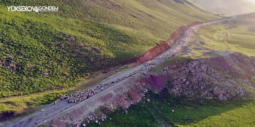 Yüksekova'da göçerlerin zorlu yayla yolculuğu