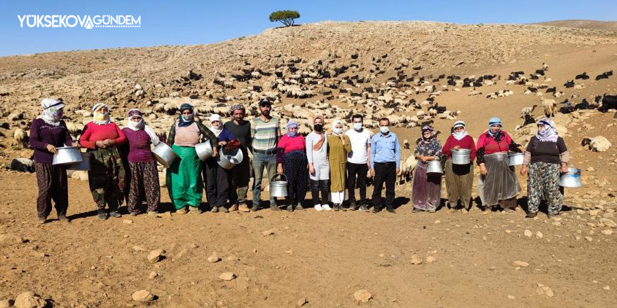 Sağlık çalışanları dağ tepe demeden çobanları aşılıyor