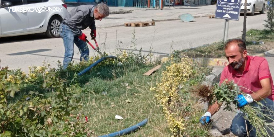 Belediye ekiplerinden ot biçme seferberliği