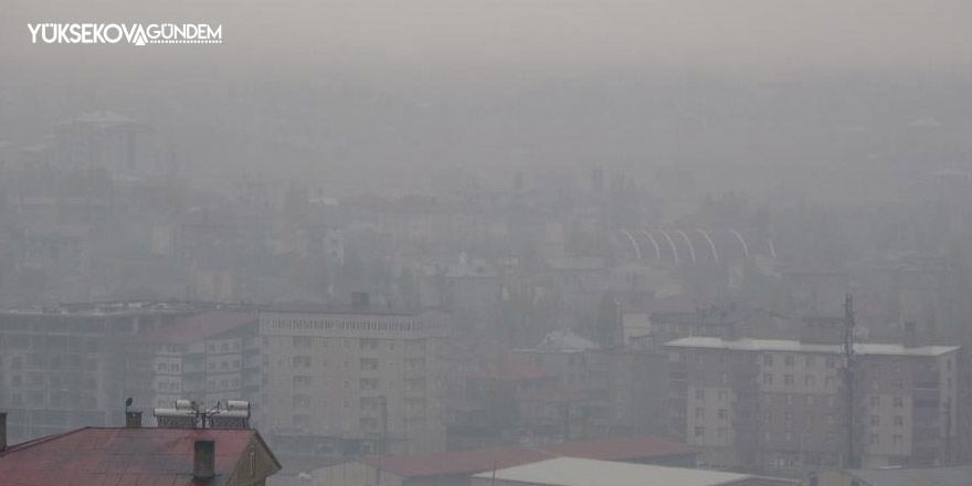 Yüksekova'da yoğun sis hayatı olumsuz etkiliyor