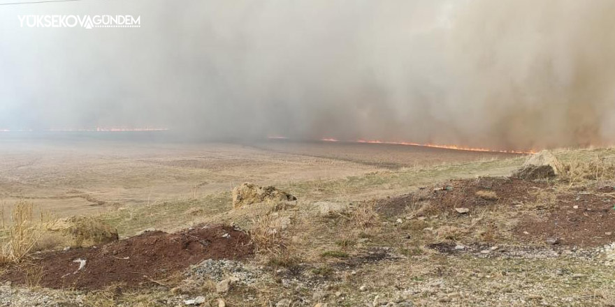 Nehil Sazlığı'ndaki yangın 2 gündür devam ediyor