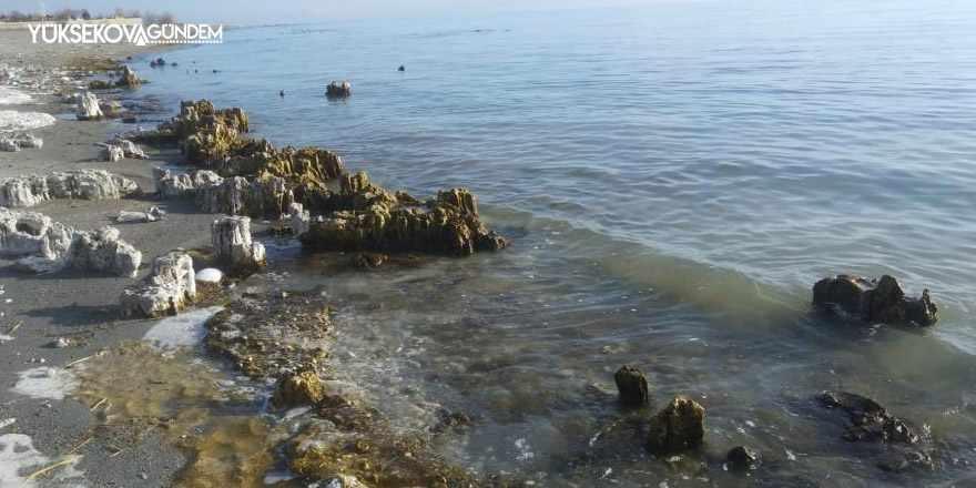 Van Gölü’nün çekilmesiyle mikrobiyalitler ortaya çıktı