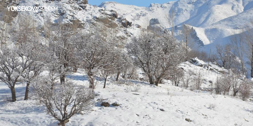 Şırnak’ta termometreler eksi 21 dereceyi gösterdi, dereler dondu