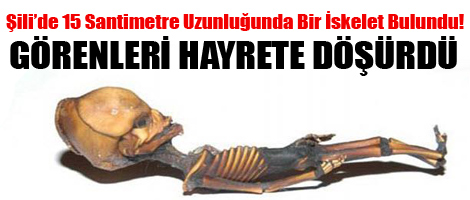 Görenleri hayrete düşürdü!