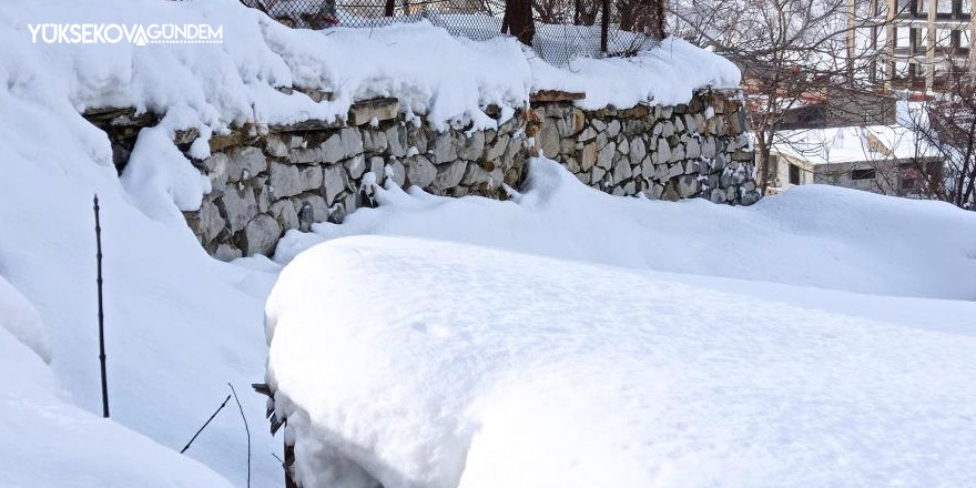 Hakkari'de 196 yerleşim yerinin yolu ulaşıma kapandı