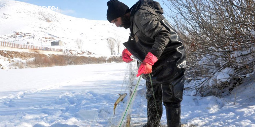 Yüksekova'da ’Eskimo usulü’ balık avı